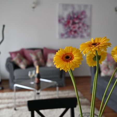 Apartmani Lucija Ludbreg المظهر الخارجي الصورة