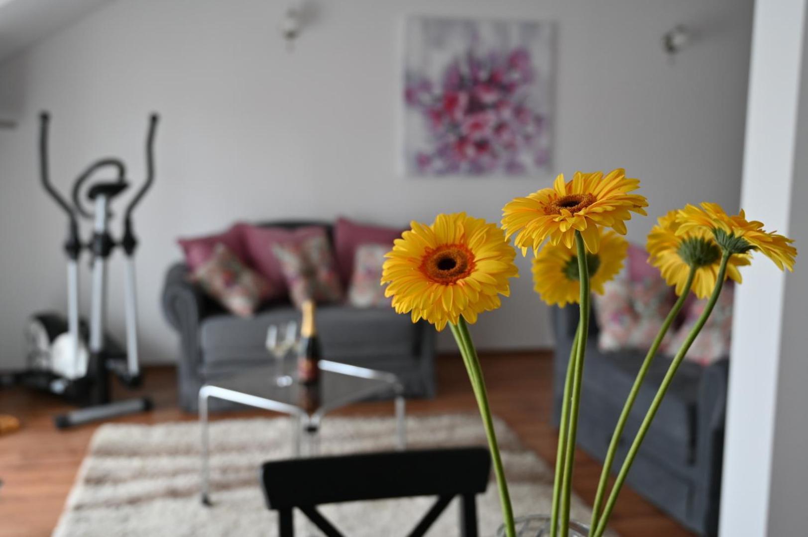 Apartmani Lucija Ludbreg المظهر الخارجي الصورة